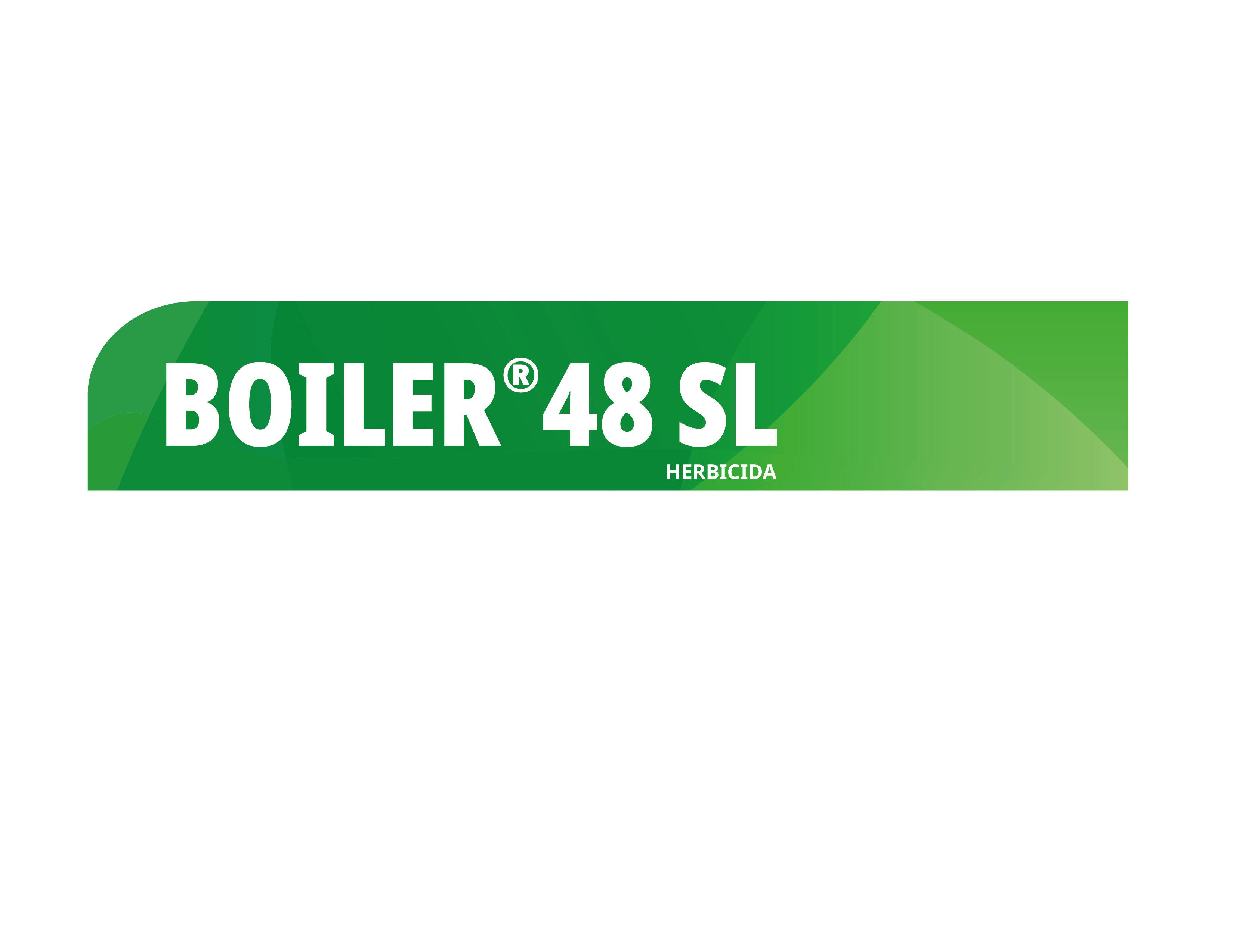 <p>
BOILER 48 SL
</p>